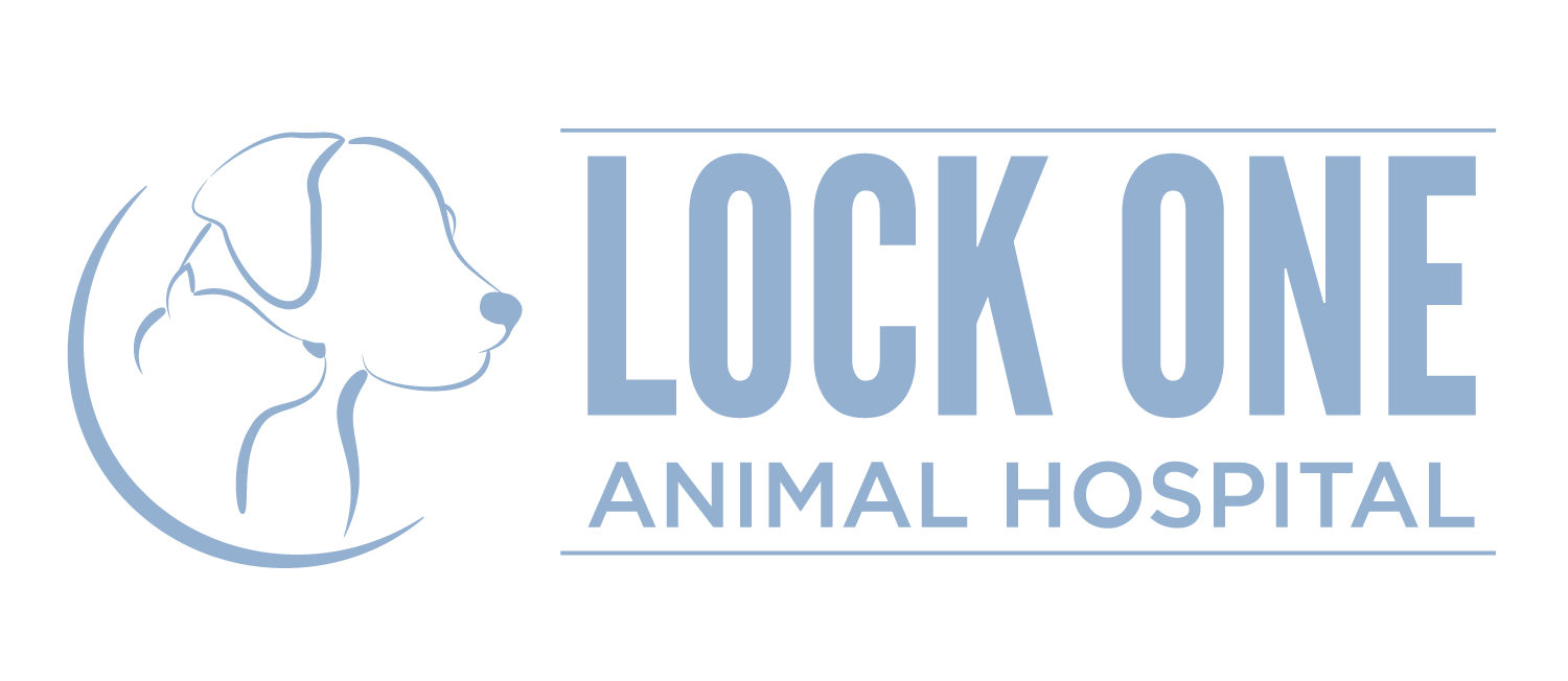 Lock One Animal Hospital